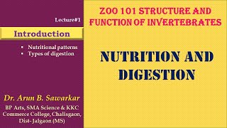 Feeding and Digestion in Lower Metazoan Lecture1 [upl. by Tristas]