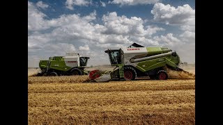 Wielkie Żniwa 2017 na Lubelszczyźnie ✪ Claas Lexion 650 ✪ Claas Tucano 430 ✪ John Deere 77306430 ✪ [upl. by Onairpic]