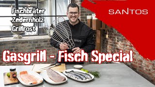 Fischgerichte vom Gasgrill  Lachs Forelle Thunfisch  Mit Zedernholz und Fischbräter [upl. by Anerdna]