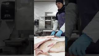 Filleting whitefish  how to fillet whitefish quick and easy  simple [upl. by Nlyak]