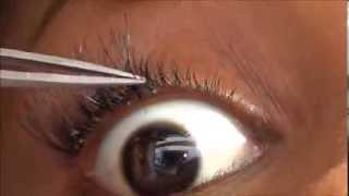 How To Apply Individual Lashes [upl. by Heman]