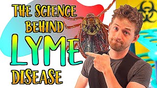 The science behind Lyme Disease  Borrelia and other tick borne microbes [upl. by Learsiy]