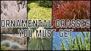 12 Ornamental Grasses Perfect For Your Landscape 🌾 [upl. by Ddart533]