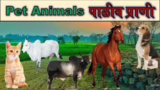 पाळीव प्राण्यांची नावे l पाळीव प्राणी l Paliv Prani l Domestic Animals l Animals  Pranyanchi Nave [upl. by Gnel]