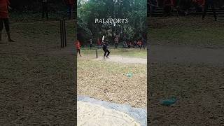 team unity of the tournament 2024 gully cricket cricket shorthand sports trendingshorts shorts [upl. by Adnilem58]