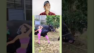 Try Not to Laugh Challenge 56🤣 funny shorts viral [upl. by Darmit]