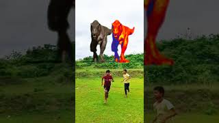 Dinosaur chase Trex chasing shots dinosaur ytshorts trending youtubeshorts [upl. by Hester58]