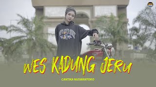 WES KADUNG JERU  Cantika Nuswantoro  OFFICIAL MUSIC VIDEO [upl. by Aihsia]