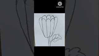 Lotus flower drawing lotus flowers rose shorts [upl. by Asiul]