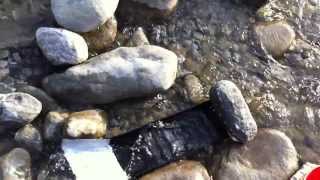 Gold prospecting  Azusa Canyon East fork of the San Gabriel river [upl. by Ystap]