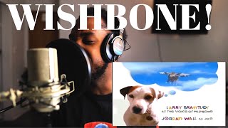 WISHBONE THEME SONG quotWhats The Story Wishbonequot Cover By Stephen SaintFelix 90skid PBSkids [upl. by Enaht]