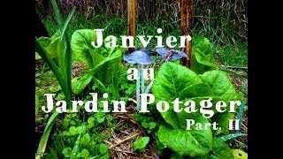 Janvier au Jardin Potager  PartII 🌳23 [upl. by Naryk777]