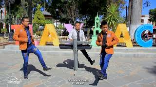 El Tilín VIDEOCLIP OFICIAL  Órgano Juventud Mixteco [upl. by Nosmoht]