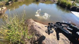 Bowfishing with the Mini Striker Pistol Crossbow [upl. by Alliscirp]