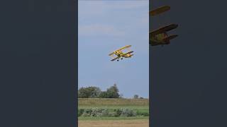 RC AirShow Racibórz 2024 Bücker 133 Jungmeister 75scale aviation rcplane airshow scalemodel [upl. by Eilagam659]