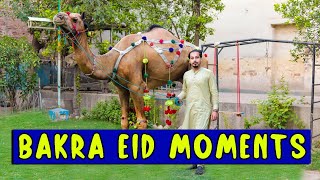 Bakra eid moments l Peshori vines [upl. by Masuh]