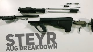 Steyr Aug Breakdown [upl. by Aluap]