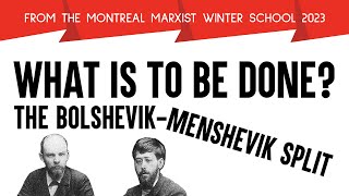 What Is To Be Done The BolshevikMenshevik Split [upl. by Ykceb]