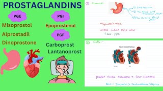 Prostaglandins Pharmacology Functions and Clinical uses prostaglandin drugs pharmacology [upl. by Laverna931]