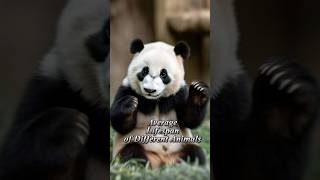 Lifespan of Different Animals youtubeshorts youtubeshorts shortvideo viralvideo trending video [upl. by Acnaiv]