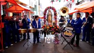 La Guadalupana con la banda Astro [upl. by Nesyaj]