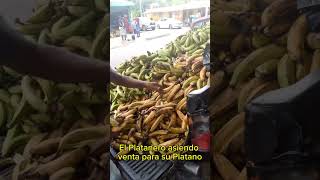 El Platanero asiendo ventas para su Platano [upl. by Eilsew]