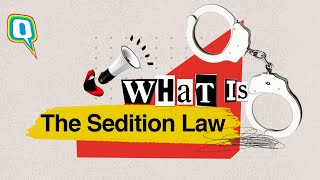 The Sedition Law – Is it Good or Bad  The Quint [upl. by Bethesda]