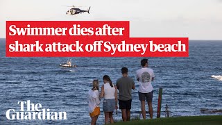 Sydney shark attack search for remains after shark kills swimmer off Little Bay beach [upl. by Lad]