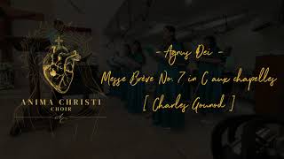 Anima Christi Canticum Choir  Agnus Dei Messe Brève No7 in C aux chapelles  by Charles Gounod [upl. by Hersch]