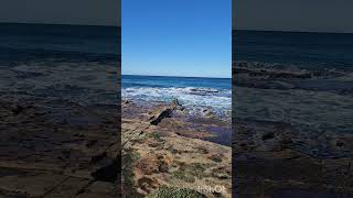 Ocean baths in Australia  Natural seawater pool  Swimming pool  Engineers in Australia [upl. by Seilenna]