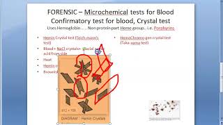 Forensic 190 a Microchemical test confirmatory blood Hemin Hemochromogen crystal Teichmann Takayama [upl. by Nomolas]