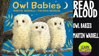 🦉 Owl Babies READ ALOUD by Martin Waddell [upl. by Lisbeth]