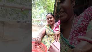 এটা কি মাছ তোমরা বলতে পারবা 🧐  Village life vlog minivlog pujavlog bengalivlog [upl. by Eniamirt]