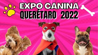 EXPO CANINA 2022 QUERETARO MEXICO [upl. by Tormoria]