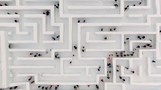 Would You Get Lost in the World’s Largest Snow Maze [upl. by Sudnor96]