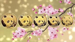 China Panda Gold Coins [upl. by Relyuhcs]