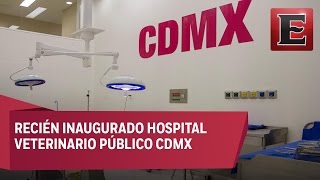 Servicios gratuitos en Hospital Veterinario Público de la CDMX [upl. by Schilling]