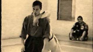 Daito Ryu Aikijujutsu amp Shorinjin Ryu Saito Ninjutsu Demo [upl. by Abbot]