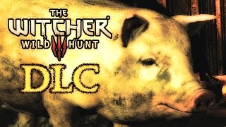 Witcher 3 Fools Gold DLC Quest  Entire Village turned into Pigs [upl. by Yesor]