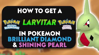 How To Get A Larvitar In Pokemon Brilliant Diamond amp Shining Pearl [upl. by Uticas282]