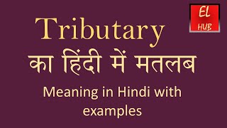 Tributary meaning in Hindi [upl. by Cathlene65]