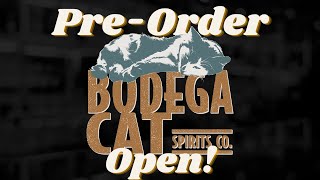 Bodega Cat is Here [upl. by Mika]