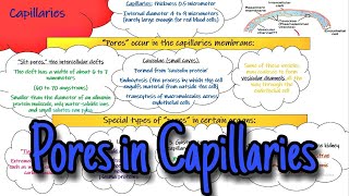 Types of pores in capillary membrane Chapter 16 part 2 Guyton and Hall [upl. by Prober]