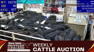 262024  Beaver County Stockyards Livestock Auction [upl. by Asseneg]