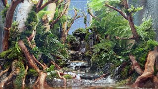 Put a real forest on your desk Creating a healing terrarium with small waterfalls and streams [upl. by Eiramlirpa]