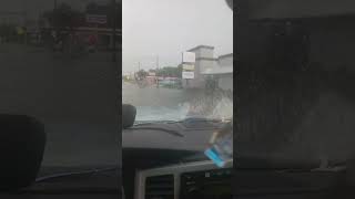 Edgewood Jacksonville Florida flooding every time it rains it does this [upl. by Ellenuahs]