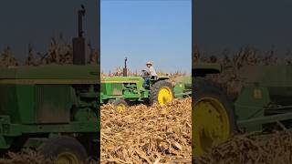 John Deeres Picking corntractorpower johndeere shorts farmequipment [upl. by Menken773]