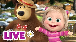 🔴 LIVE Mascha und der Bär 🌷 Der Frühling steht vor der Tür 📺 Zeichentrickfilme für Kinder [upl. by Dyke]