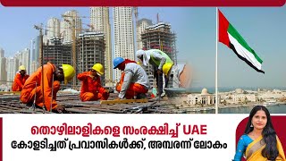 തൊഴിലാളികളെ സംരക്ഷിച്ച് UAE കോളടിച്ചത് പ്രവാസികള്‍ക്ക് അമ്പരന്ന് ലോകം  UAE law  Insurance cover [upl. by Lodge]