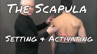 Setting and Activating the Scapula  Ask Dr Abelson [upl. by Zolly]